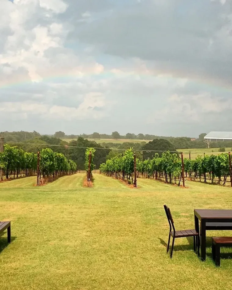 Winery Tour Limousine in Dallas-Fort Worth